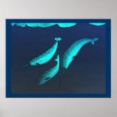 Narwhal Poster (Voorkant)