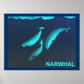 Narwhal Poster (Voorkant)