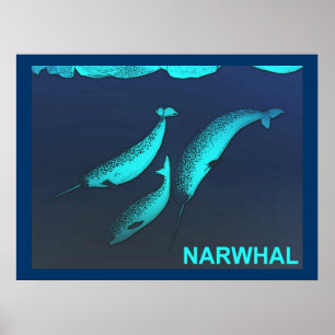 Narwhal Poster