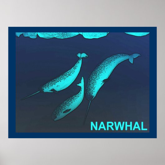 Narwhal Poster (Voorkant)