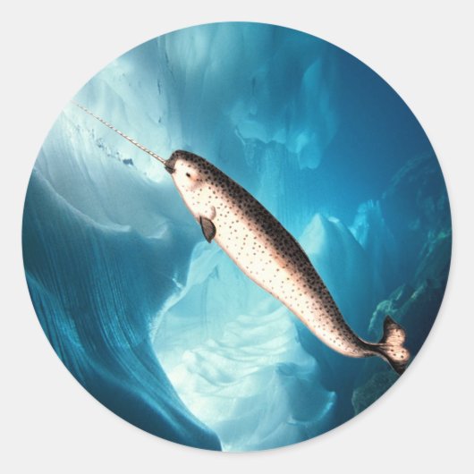Narwhal Sticker (Voorkant)
