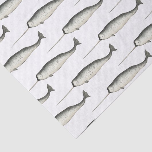  Narwhal-tekening #3 Tissuepapier (Detail)