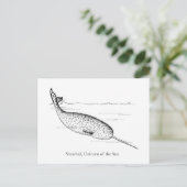 Narwhal Whale Unicorn van het Zee Briefkaart (Staand voorkant)