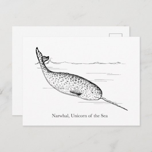 Narwhal Whale Unicorn van het Zee Briefkaart (Voorkant / Achterkant)