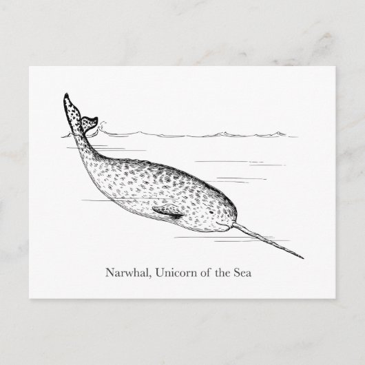 Narwhal Whale Unicorn van het Zee Briefkaart (Voorkant)