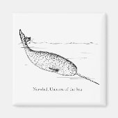 Narwhal Whale Unicorn van het Zee Magneet (Voorkant)