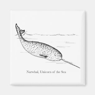 Narwhal Whale Unicorn van het Zee Magneet