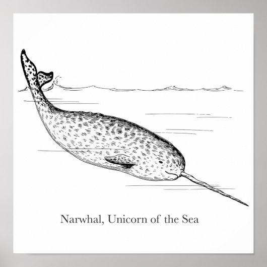 Narwhal Whale Unicorn van het Zee Poster (Voorkant)