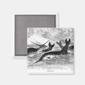Narwhals Magnet (Voorkant / Achterkant)