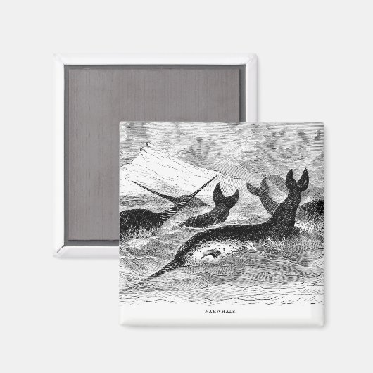 Narwhals Magnet (Voorkant / Achterkant)