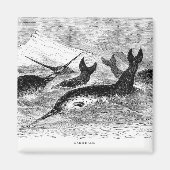 Narwhals Magnet (Voorkant)