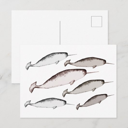 Narwhals Swim - Narwhal Whale Illustration Gift Briefkaart (Voorkant / Achterkant)