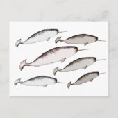 Narwhals Swim - Narwhal Whale Illustration Gift Briefkaart (Voorkant)