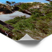 NASA Apollo 16 Saturn V Rocket Launch Poster (Hoek)