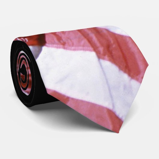 NASA Apollo 17 Astronaut Flag Earth Moon Foto Stropdas (Opgerold)