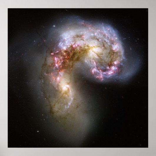 NASA - De Antennae Galaxies NGC4038-4039 Poster (Voorkant)