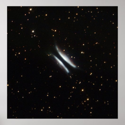 NASA - de hamburger van Gomez Poster (Voorkant)