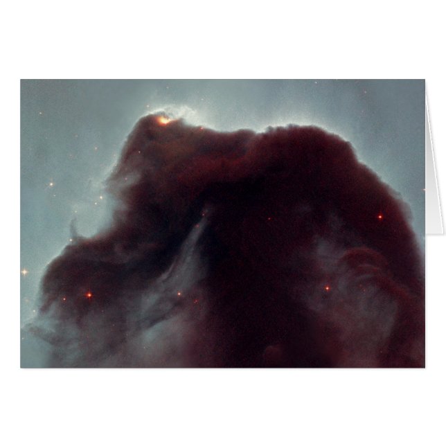 NASA - De Horsehead Nebula (Voorkant Horizontaal)