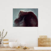NASA - De Horsehead Nebula Poster (Keuken)