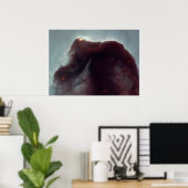 NASA - De Horsehead Nebula Poster (Thuiskantoor)