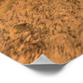 NASA / doorzettingsvermogen hier / : ) / Poster (Hoek)