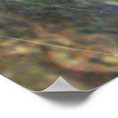 NASA / Juno / Jupiter / Nov. 3, 2019 / Poster (Hoek)