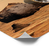 NASA Mars Rover Poster (Hoek)