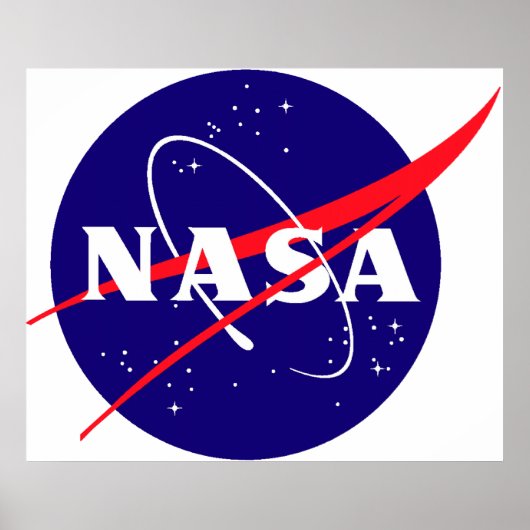 NASA Meatball Logo Poster (Voorkant)