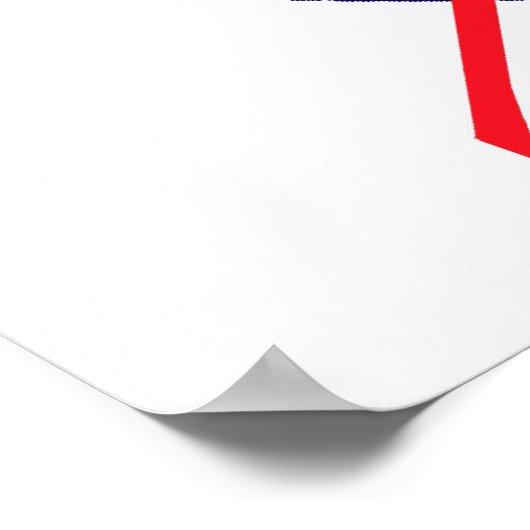 NASA Meatball Logo Poster (Hoek)