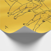 NASA Pioneer 10 Space Probe Gold Plaque Cadeaupapier (Hoek)