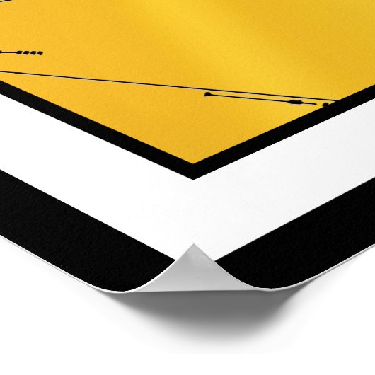 NASA Pioneer 10 Space Probe Gold Plaque Poster (Hoek)