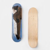 NASA Space Shuttle Atlantis STS-30 Landing Persoonlijk Skateboard (Voorkant)