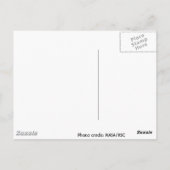 NASA / Space Shuttle Discovery landing - STS 116 Briefkaart (Achterkant)