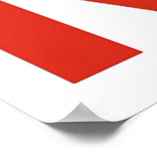 NASA Worm (slang) Logo Poster (Hoek)