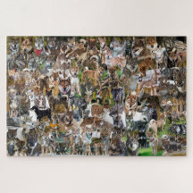 NASC 2022 Jigzaag Puzzle