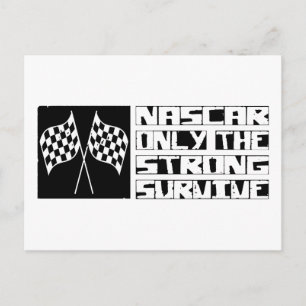NASCAR Survive Briefkaart