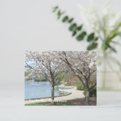 Nashville - Centennial Park in Bloom Briefkaart (Staand voorkant)