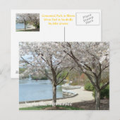 Nashville - Centennial Park in Bloom Briefkaart (Voorkant / Achterkant)