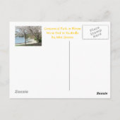 Nashville - Centennial Park in Bloom Briefkaart (Achterkant)