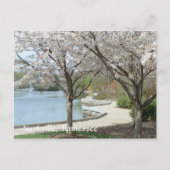 Nashville - Centennial Park in Bloom Briefkaart (Voorkant)
