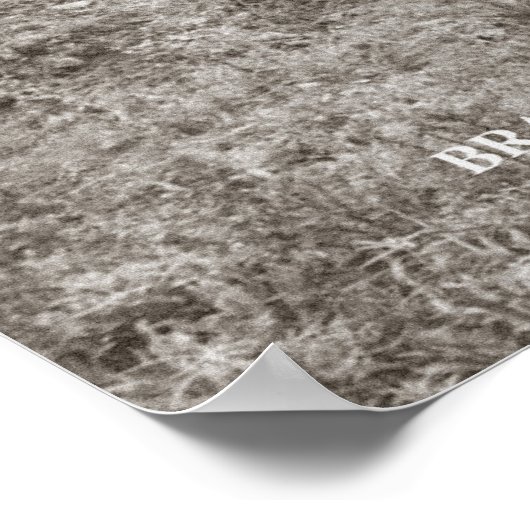 Nashville en Atlantic Railroad Caboose Poster (Hoek)