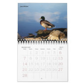 Nashville Lovers Kalender (Feb 2027)