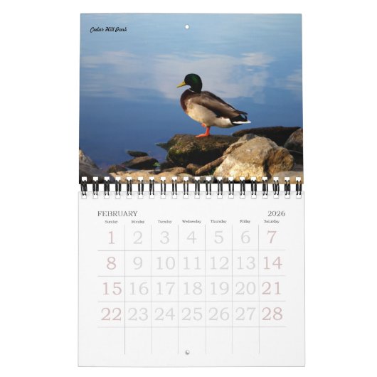 Nashville Lovers Kalender (Feb 2026)