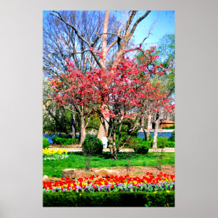 Nashville Spring Poster