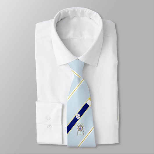 Nashville stripes vlag stropdas (Gebonden)