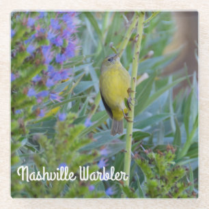 Nashville Warbler Glazen Onderzetter