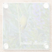 Nashville Warbler Glazen Onderzetter (Achterkant)