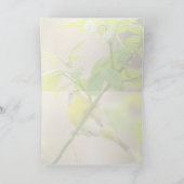 Nashville Warbler Kaart (Binnen)