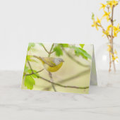 Nashville Warbler Kaart (Gele Bloem)