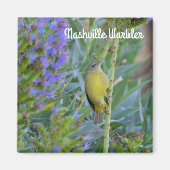 Nashville Warbler Magneet (Voorkant)
